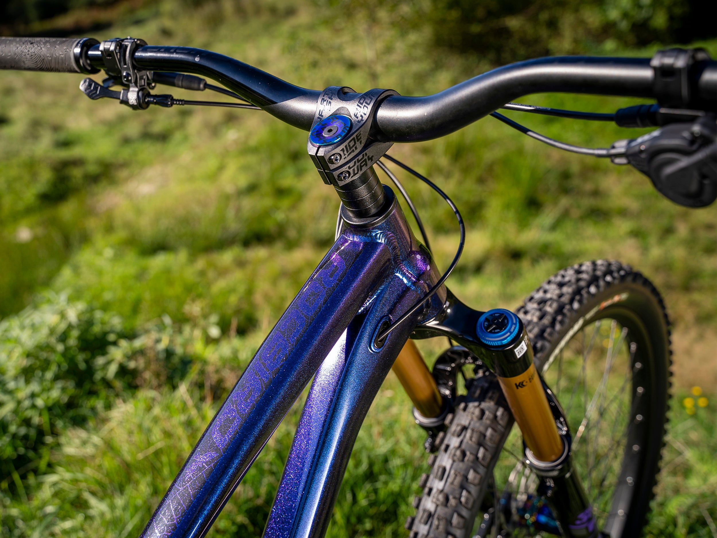 DARTMOOR ROCBIRD FRAMES 29