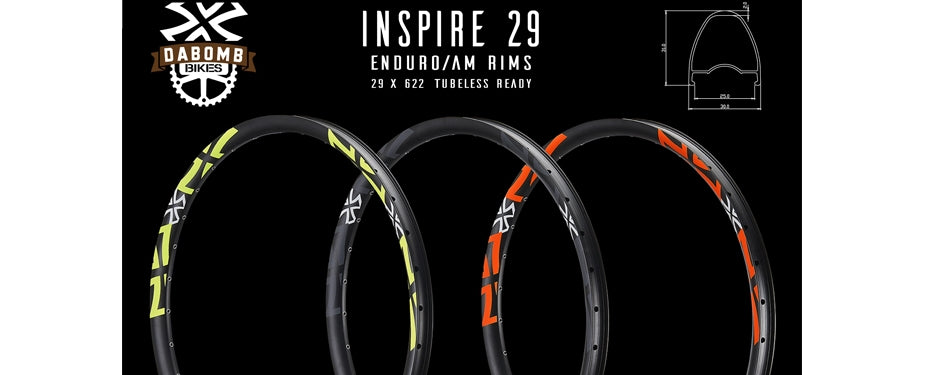 INSPIRE 29