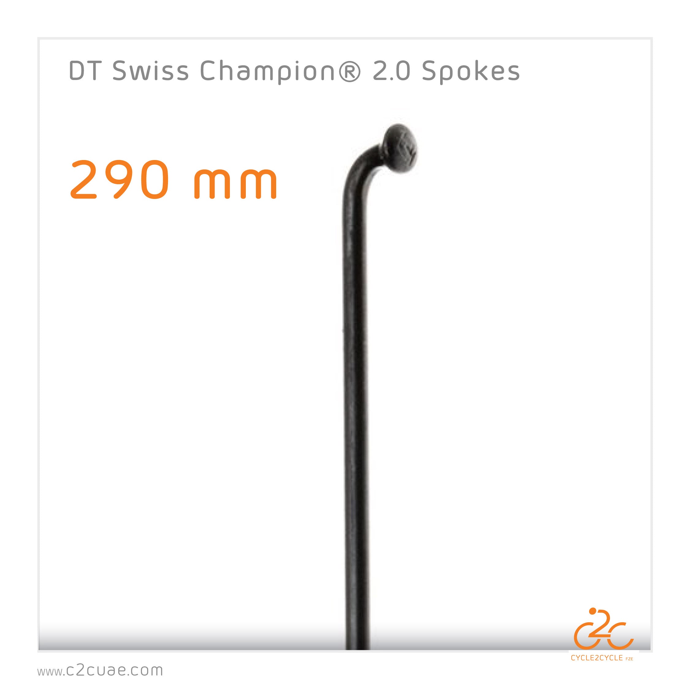 DT Swiss Champion 2.0 Spokes